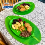 (৬ পিস) কলাপাতা প্লেট ও ম্যাট কম্বো সেট - Image 2